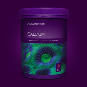 Aqua Forest Calcium-4 Kg
